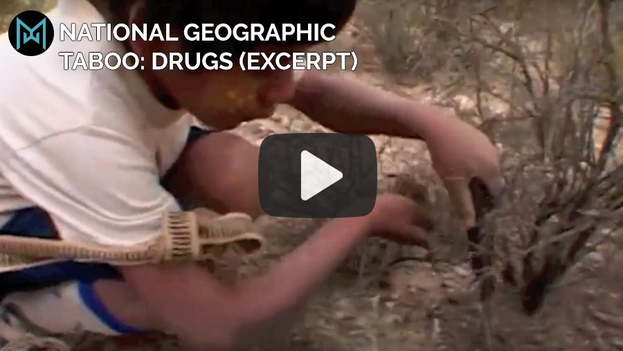 National Geographic: Taboo: Drugs (Excerpt)